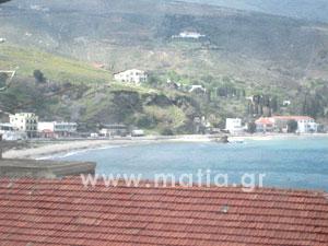 Άνδρος