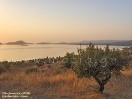 Πύλος Μεσσηνίας, ο κόλπος της Βοϊδοκοιλιάς