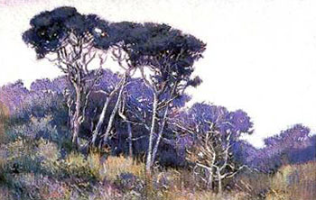 Duane Wakeham, PSA, North Coast Pines, 19 x 29''