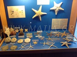 Ενυδρείο – Υδροβιολογικός Σταθμός Ρόδου