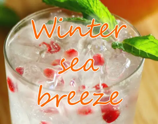 Winter sea breeze (holiday cocktail)